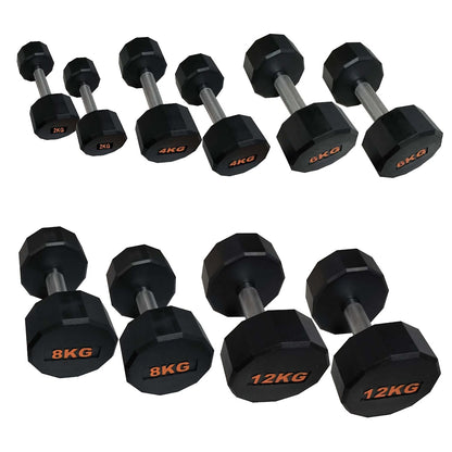 Round Rubber Dumbbells Set – Smart Dumbbell Pair with Knurled Steel Handles, Circular Anti-Slip Design for Home Gym Strength Training, Weightlifting & Full-Body Workouts (2-12Kg) - Optional Storage Rack