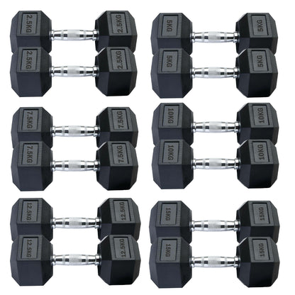 Professional Hex Dumbbells Set - Rubber Coated Weights from 2.5kg  to 60kg - Anti-Rolling Hexagonal Design with Ergonomic Metal Handles - Perfect for Home