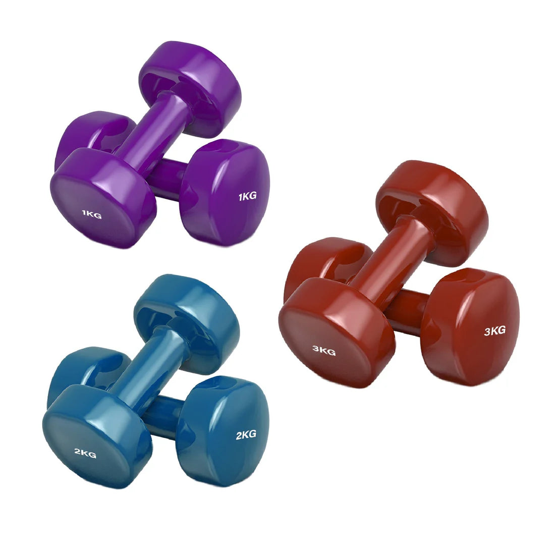 Set of purple, blue, and red dumbbells with weight markings on a white background