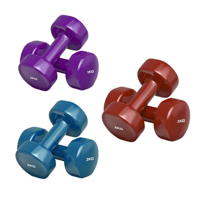 Set of purple, blue, and red dumbbells with weight markings on a white background